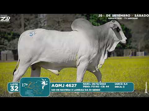 LOTE 32   AQMJ 4627