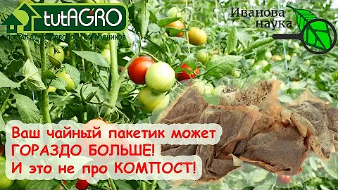 ЧЕРНЫЙ ЧАЙ - ЗАМЕНА 