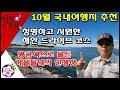 10월국내여행지추천 드라이브코스 해안도로드라이브 가을전경 국내여행지추천 블루베리농장 귀농귀촌 주말농부 전원생활