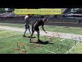 Level 2 Mini Hurdles