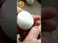 طريقه مبتكره لتقطيع البيض