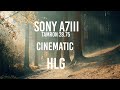 Hugo E M P T Y | Sony A7III 4K Test - Tamron 28-75 2.8 | HLG3