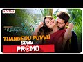 Thangedu Puvvu Video Promo | RadhaKrishna Songs | Sreenivass Redde | MM SreeLekha | Prasad Varma