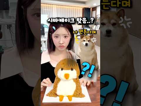 시바견 케이크, 오늘 안에 살려야 합니다