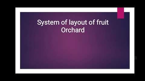 System of Layout of fruit orchard