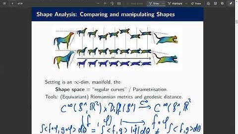 Infinite-dimensional geometry: Applications to shape analysis