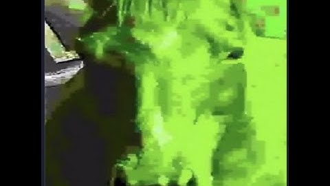 9:16 Seeded run white knuckle campaign