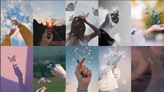 😍🦋 Butterfly Aesthetic Cute DP🌷| Trending Butterfly 🎀 profile pictures 🎉 for WhatsApp 💫 
