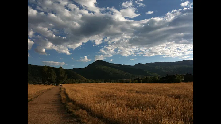 Kelly Busch: In Search of Hope