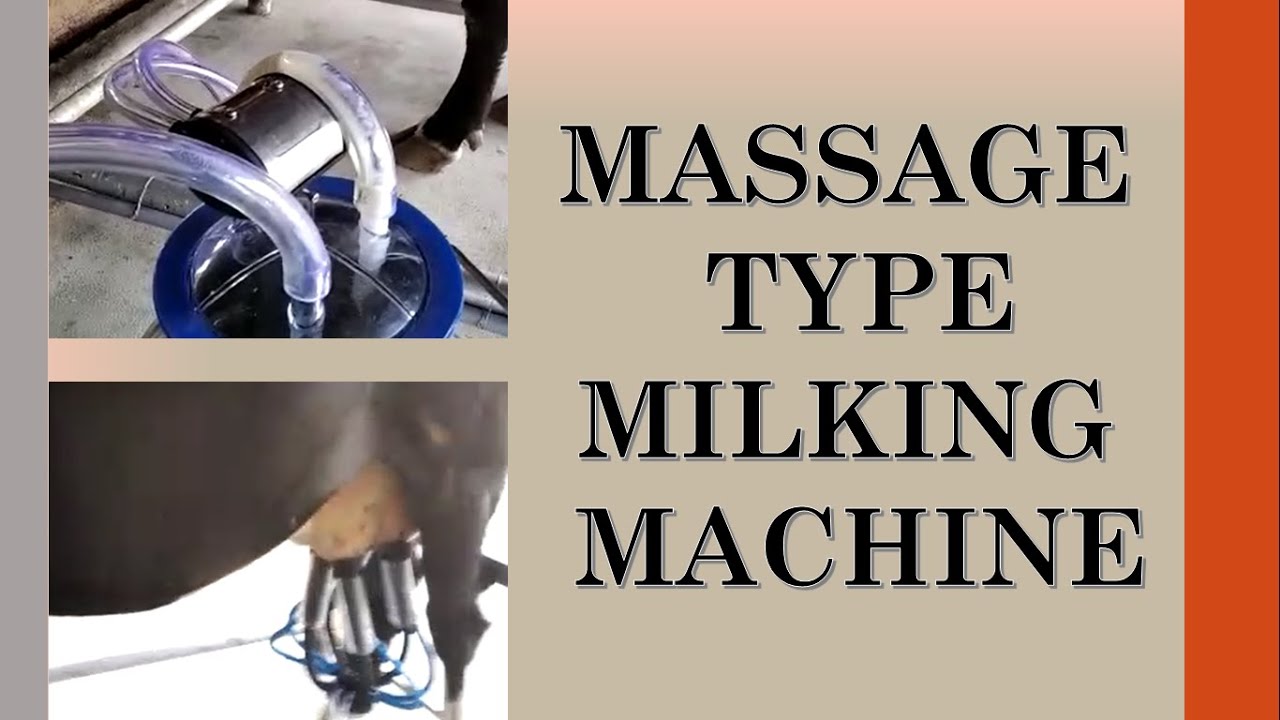 Buffalo milk machine / Cow machine / Cow milk machine price in