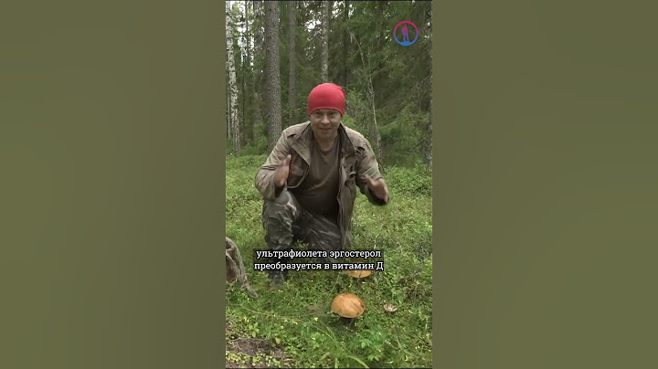 Что полезного в грибах?