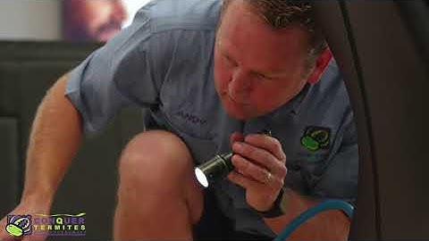 CONQUER TERMITES  PEST CONTROL VIDEO 2020