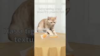 Happihappihappi eating #memes #bananacat #catmemes #cat #happyhappycat #asmr #spydezz