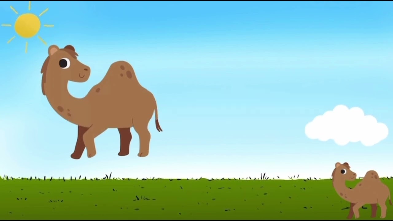 CE1 – Lecture de la poésie Le chameau | Page 20 | Mot de Passe