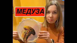 Декоративна вишивка - Художня вишивка - МЕДУЗИ