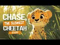 Chase The Slowest Cheetah Ever Bedtime Stories For Kids Chase The Slowest Cheetah Ever Bedtime Stories For Kids