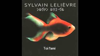 Sylvain Lelièvre  - Toi l'ami