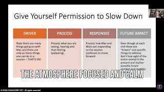 SLOW DOWN. Create a Calm and Attentive Atmosphere for Rehabilitation and Integrative Medicine.