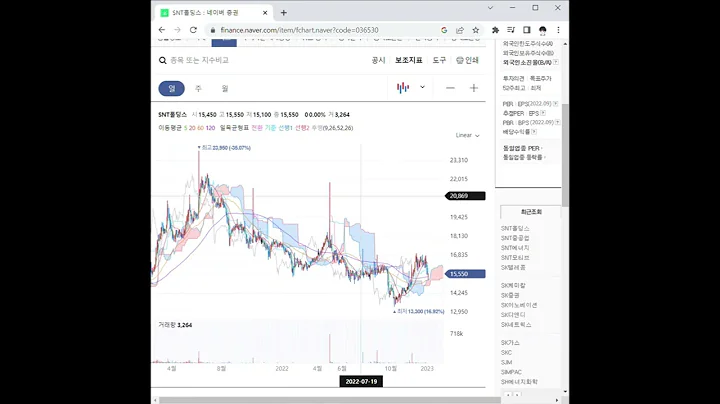 SNT홀딩스 주가 전망 및 차트 분석