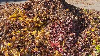 Leaves stack of mountains with roads 🍂 | Go to google maps | Oshkosh, Wisconsin, United States