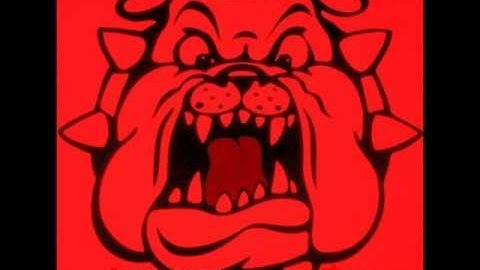 REPRESENTING THAT 559 MUSIC VIDEO