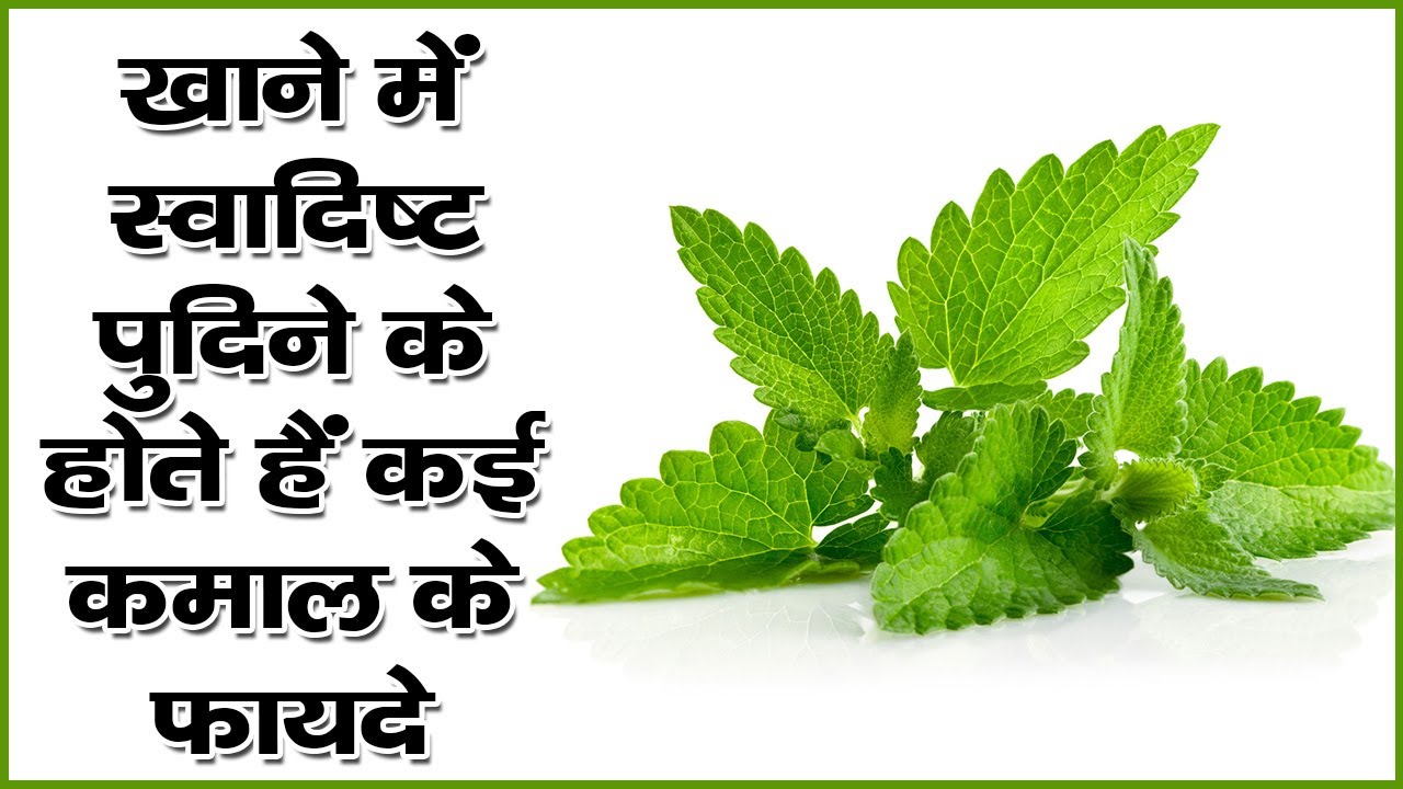 खाने में स्वादिष्ट पुदीने के होते हैं कई कमाल के फायदे || Pudine Ke Ayurvedic Gun | The Health Guru