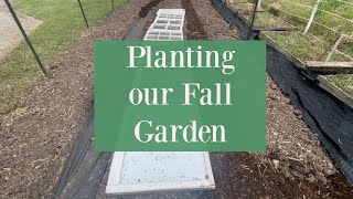 Starting  the FALL GARDEN | Plus Tips on how to GROW better CARROTS!