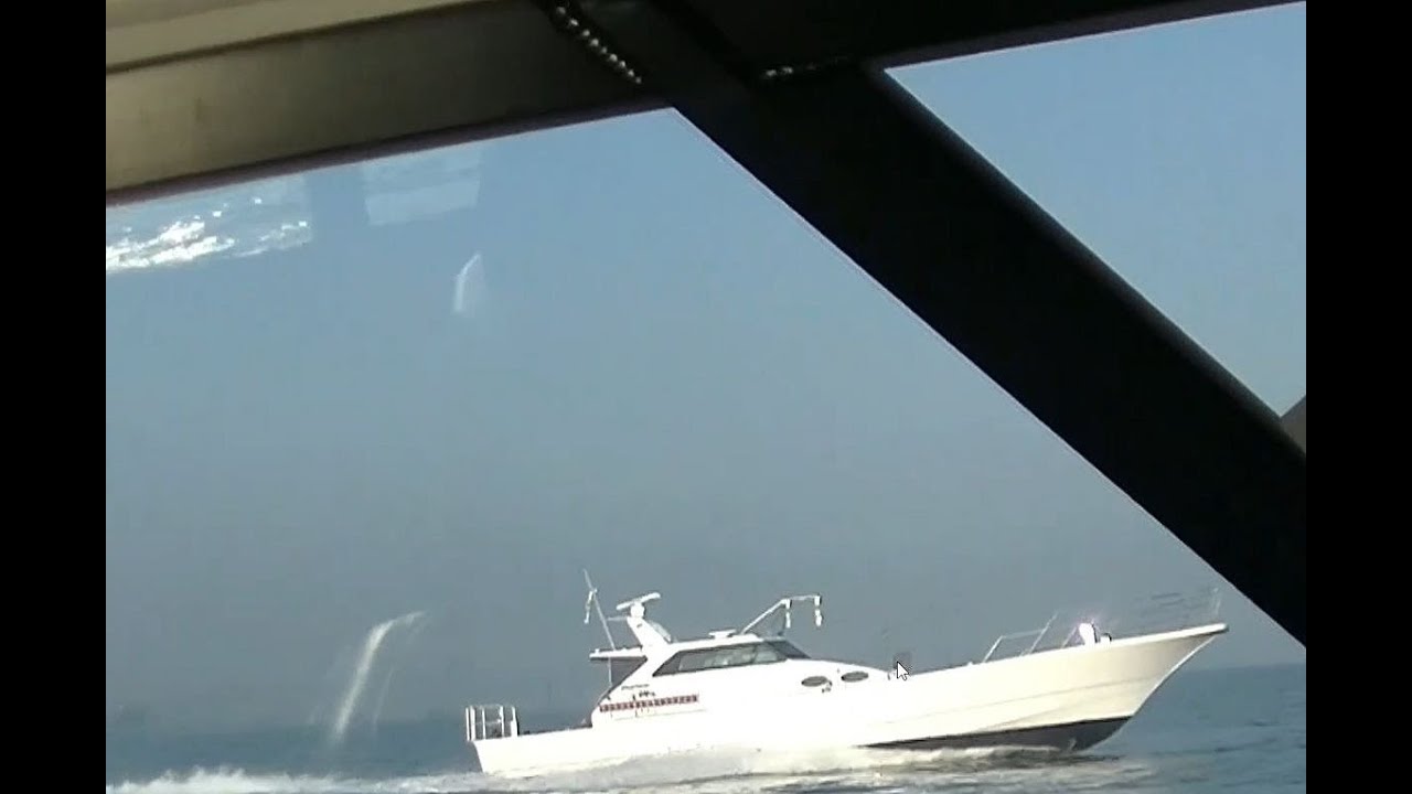 昼イカ釣行・また進路妨害ですか・・・