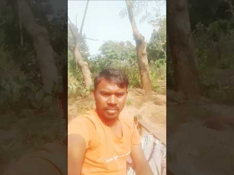 Hara Godo Sawo Teku Jaway Kadiy Nitma Herm Kan Jori Kurdi JUWA Kora