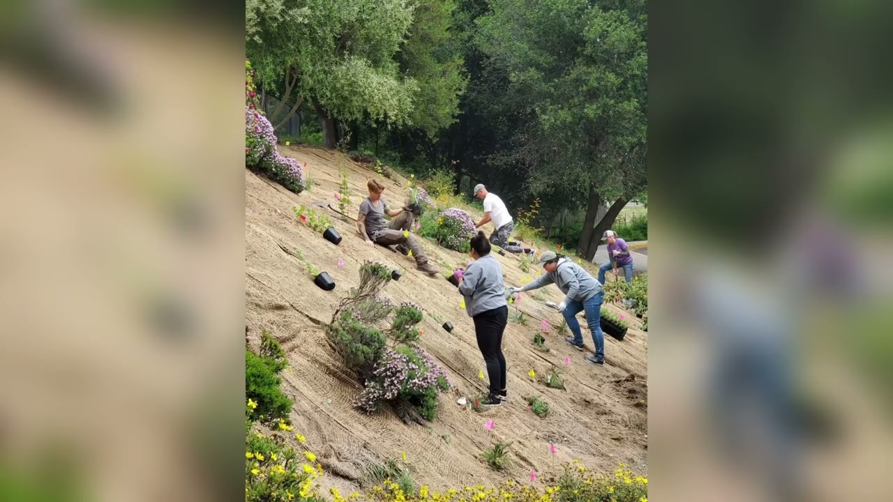Penngrove Elementary Pollinator Habitat Install