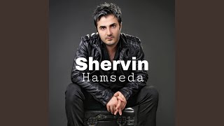Hamseda - Shervin