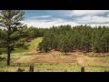 9200 W Coyote Pass Road Flagstaff | Luxury Log Home Sold by Kelly Broaddus
