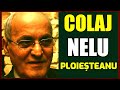 NELU PLOIESTEANU, CELE MAI FRUMOASE MELODII, COLAJ MUZICA LAUTAREASCA, MUZICA DE PETRECERE