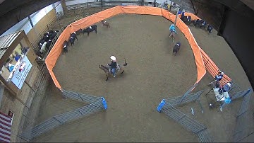 Big Sky Ranch Sorting Saddle Series #2 - #10 H/C - Round #1 - Ride #11