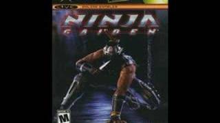 Ninja Gaiden Music- Ninja Gaiden Main Theme screenshot 4