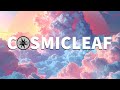 Arcane Trickster - Homeworld (Ambient Mix)
