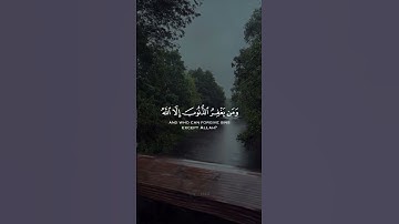 #قرآن_كريم #تلاوة_خاشعة #راحة_نفسية #q__k144 #اسلام_صبحي # سبحان الله وبحمده سبحان الله العظيم