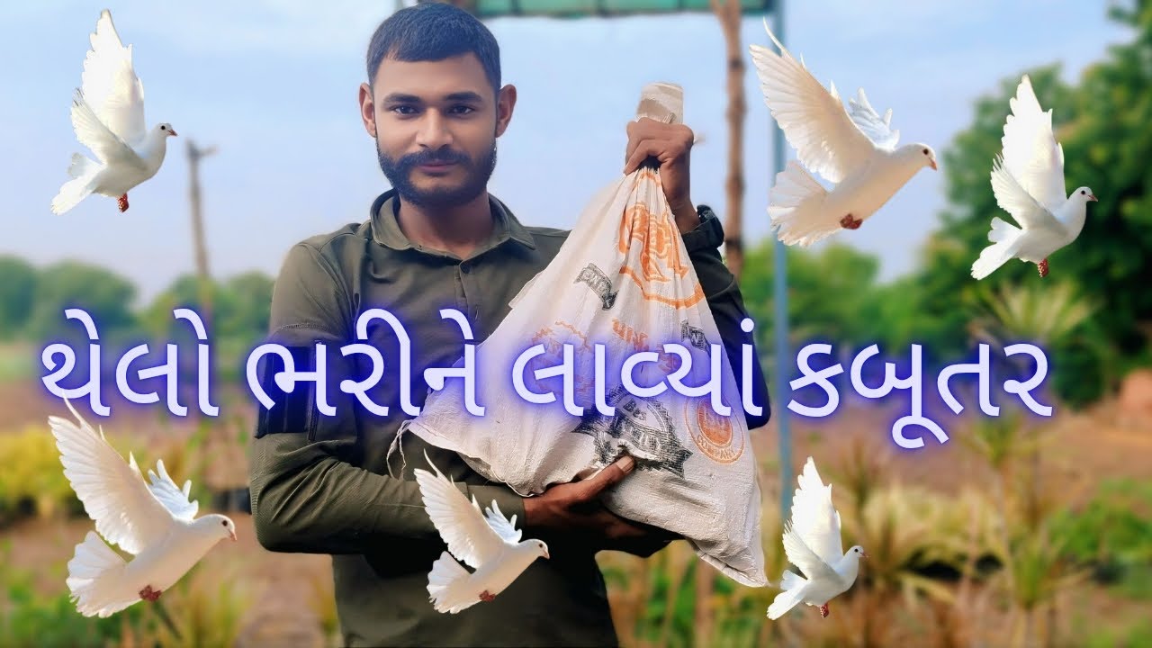 નવા કબુતર લાવ્યાં//New pigeon//नये कबूतर लाए 