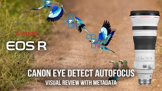 Canon Eye Detection with the RF400 f/2.8