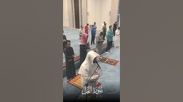﴿أَفَبِنِعمَةِ اللَّهِ يَجحَدونَ ۝﴾ ؟!! القارئ أحمد العبيد