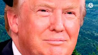 Donald Trump in different languages meme (Full Compilation)