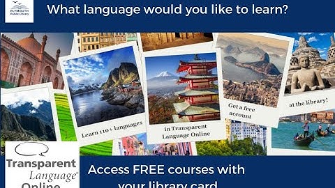 Transparent Language Online for Libraries