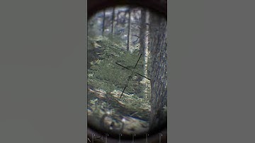 SCUM 1.0 - Ambushed Whilst Sniping! #youtubeshorts #shorts #gaming #scumgame #scum