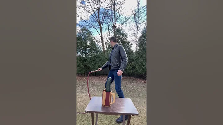 Hitting a Cucumber with a Whip