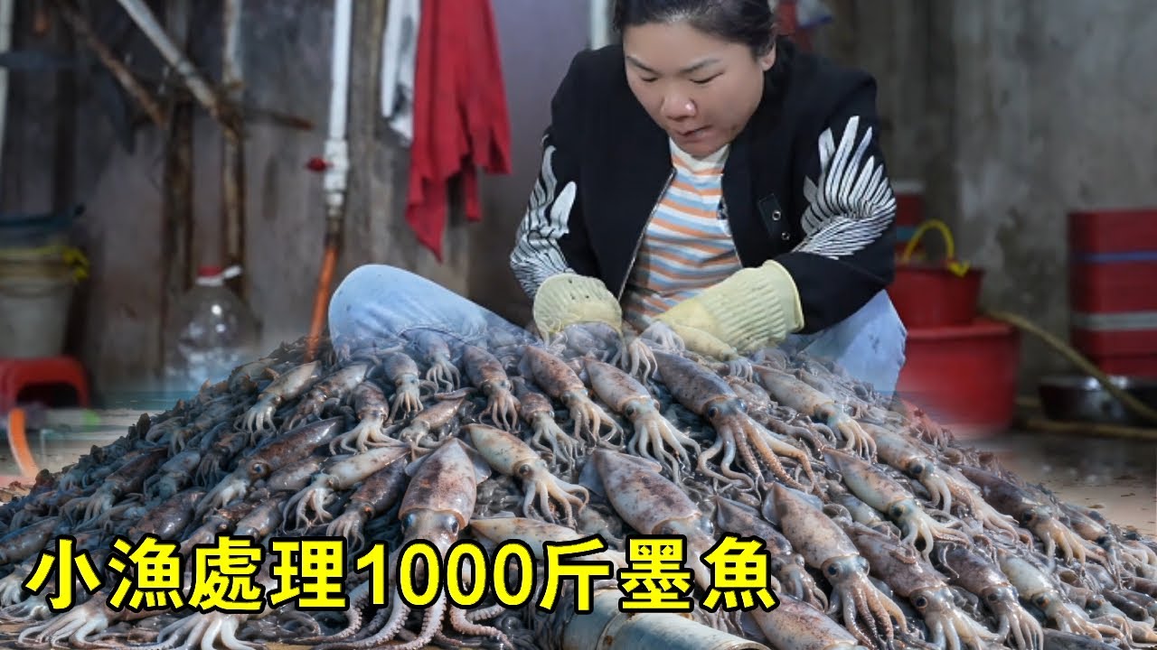 1000斤墨魚曬陽光，濃縮成精華，小漁煲湯饞壞眾人【漁小仙】