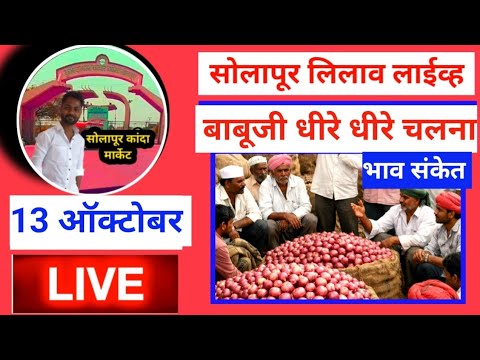 kanda Market bhav / solapur kanda market live today 13 ऑक्टोबर आजचे लाईव्ह सोलापूर