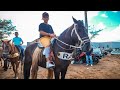 FEIRA DE CAVALO DE CARUARU PE, ÚLTIMA FEIRA DO MÊS, TERÇA FEIRA, 28.11.23