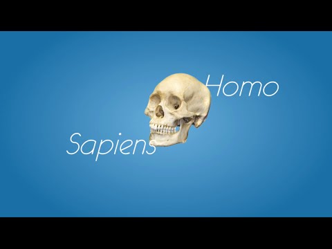 ანთროპოლოგია -  პრომო