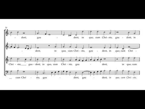 Vaet: O quam gloriosum - Cinquecento