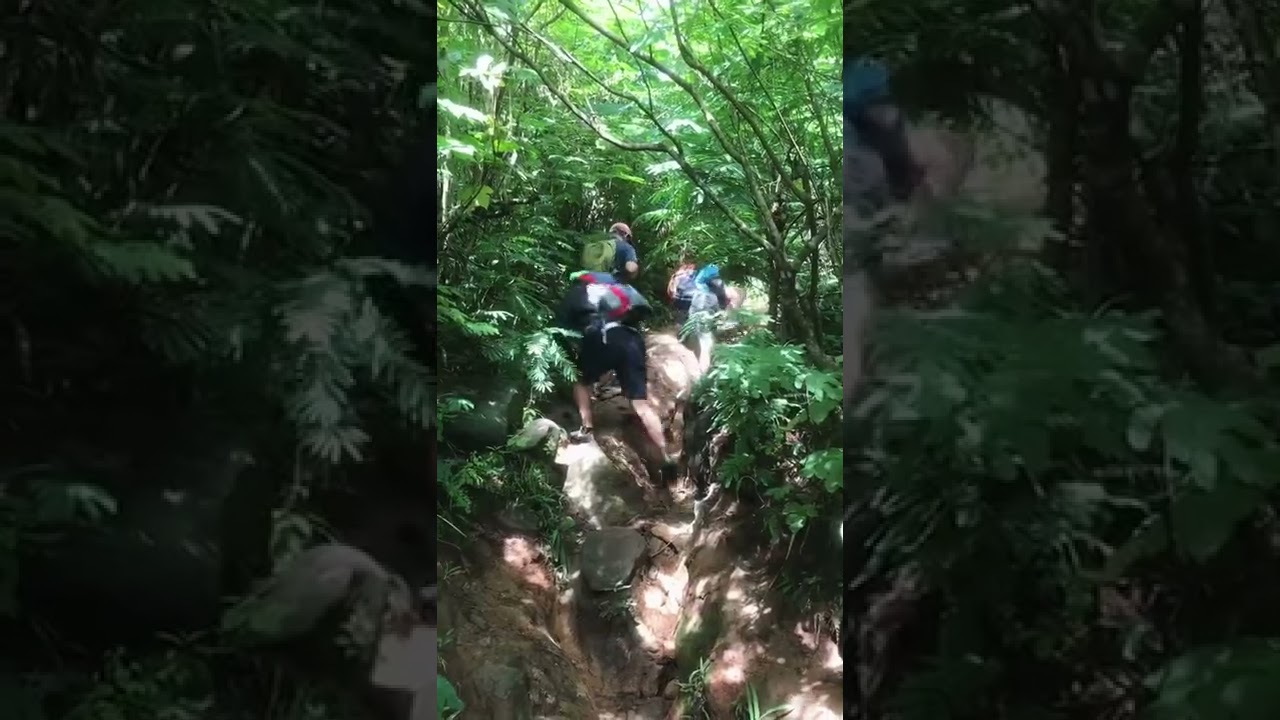 Enjoy hiking #hiking #mountains #bandung #shorts #shortvideo #travel #foryou #gunung